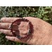 Hématite et grenat bracelet pour l'ancrage